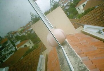 Portuguese duo - Exhibitionist Tuga