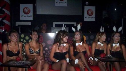Bunny honeys