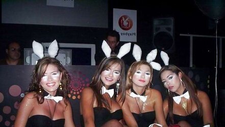 Bunny honeys