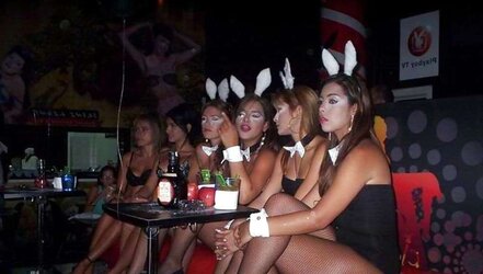 Bunny honeys