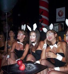 Bunny honeys