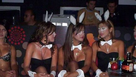 Bunny honeys