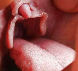 Geniesser-images !!!!