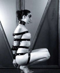 Collared 61!
