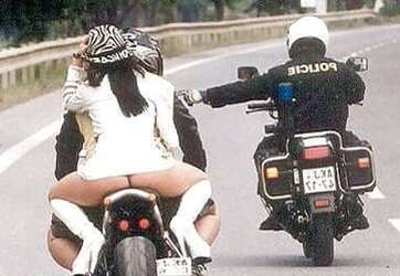 Real donk damsel
