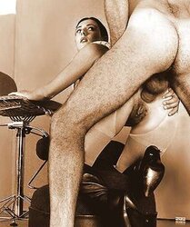 Ass Fucking Postures - Rear End ass-fuck rodeo