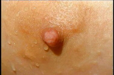 Kimiko Matsuzaka - Luxurious Congenital Breasts