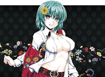 Anime touhou
