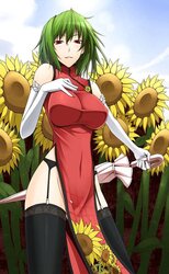 Anime touhou