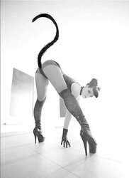 Tights II