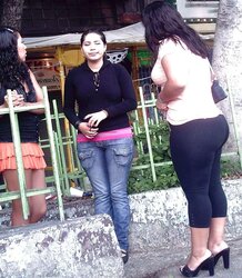 Mexico breezies