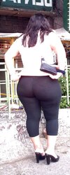 Mexico breezies