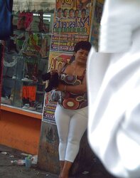 Mexico breezies