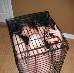 Encaged Kennel Twats pt.