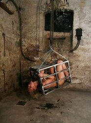 Encaged Kennel Twats pt.