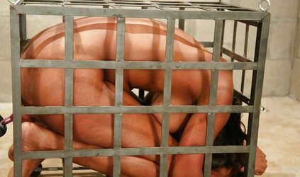 Encaged Kennel Twats pt.