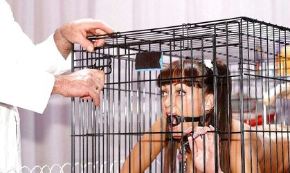 Encaged Kennel Twats pt.