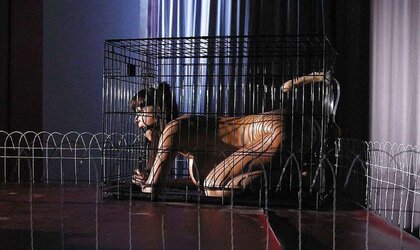 Encaged Kennel Twats pt.