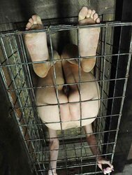 Encaged Kennel Twats pt.