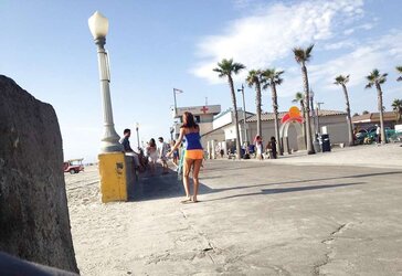 Beach lurker