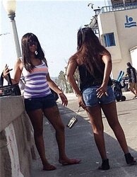 Beach lurker