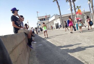 Beach lurker