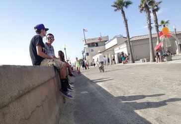 Beach lurker