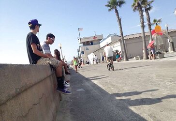 Beach lurker