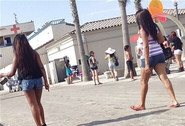 Beach lurker