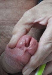 Urethra play toothbrush head and salami rings
