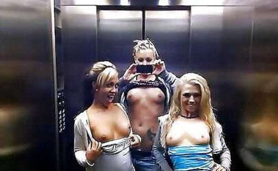 Elevator Shows