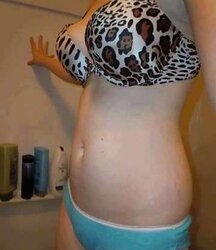 A boobies paradise