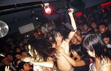 Parti bogel