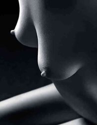 Splendid Nips