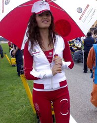 Super-Cute damsels from showcase or motorsport