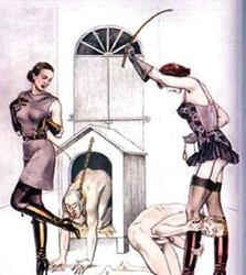 Education female domination
