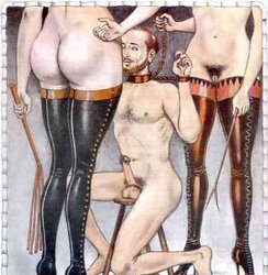 Education female domination