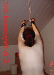 Restrain Bondage in rot