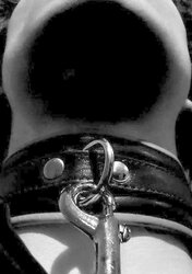 Ebony and White 518!