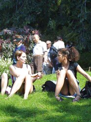 UPSKIRTS FOR REAL VOYEURS II