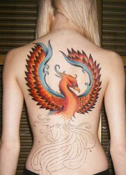 Tatuagem so em gatas
