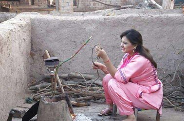 Desi Combo