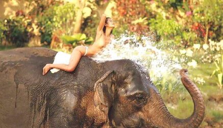DESI TRAMPS OUTDOOR JOY