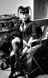 Pauley Perrette Ultimate NCIS Bevy