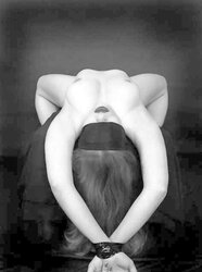 Dark-Hued and White 532!