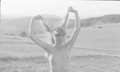 Vintage pits