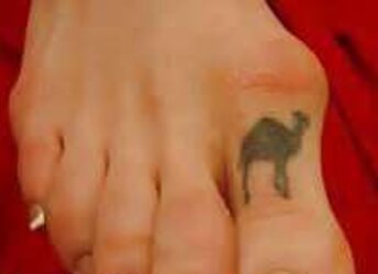 CAMEL-TOES Voyeur Vol.1 -L