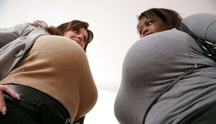 MILENA V, VS MIOSOTIS C5M