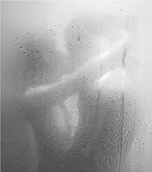 Porn Art in the Shower . . .