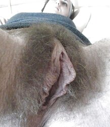 Unshaved honeypots seen from down (part three)